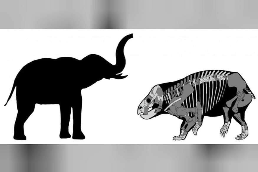 Surprising elephant-sized mammal cousin lived alongside dinosaurs