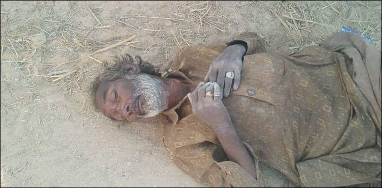 Minister takes notice of writer Kamlani's deteriorated condition