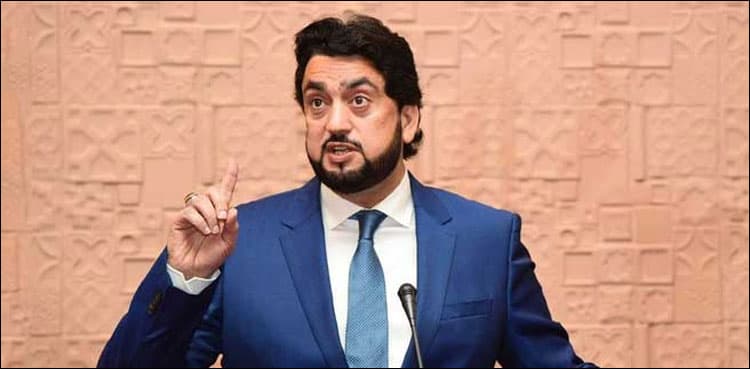 Anti-state activities not to be tolerated at any cost: Shehryar Afridi