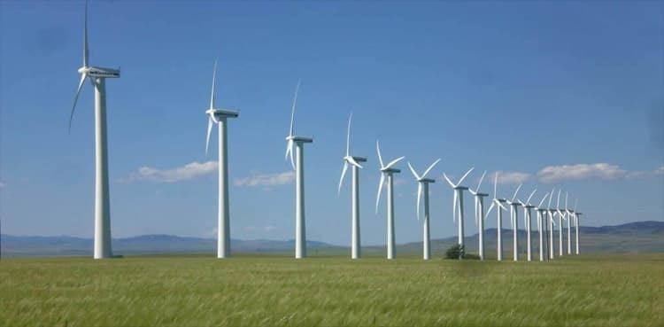 Sindh government to set up its own grid company for wind energy projects