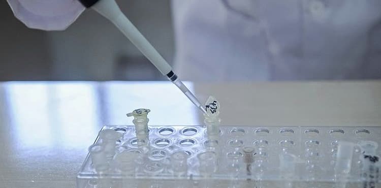 Cell-by-cell DNA science is 'Breakthrough of 2018'