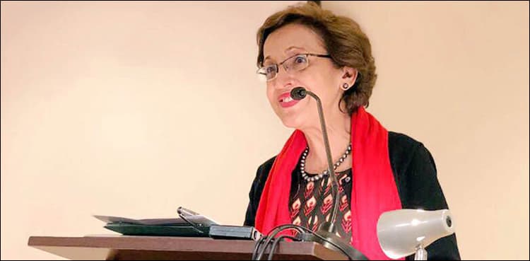 Resolution of Kashmir dispute prerequisite for peace: foreign secretary