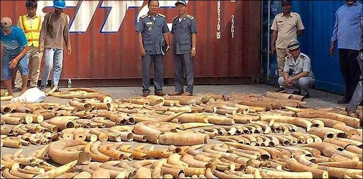 Cambodia seizes record 3-tonne haul of African ivory