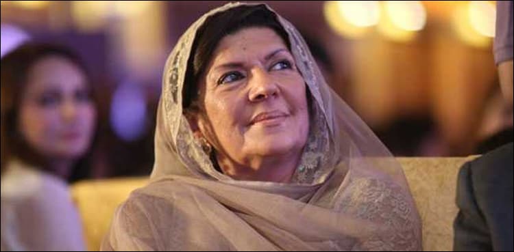 Aleema Khan reveals sources for purchasing offshore properties