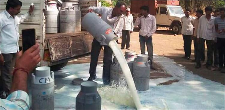 PFA discards 4,915 liters adulterated milk in Punjab