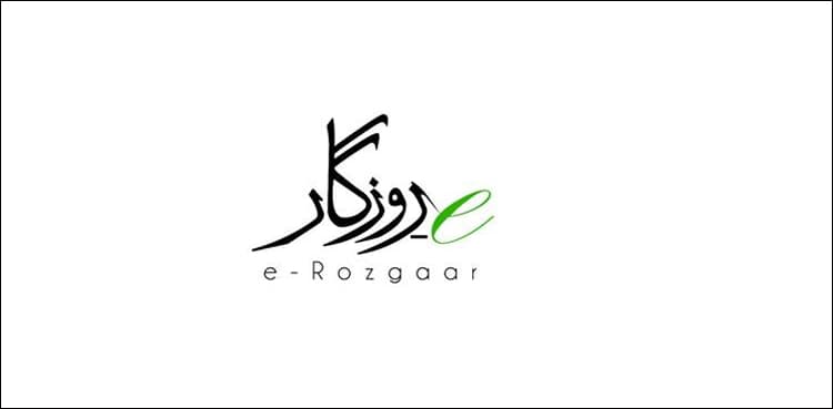 E-Rozgar Training Programme for youth launched