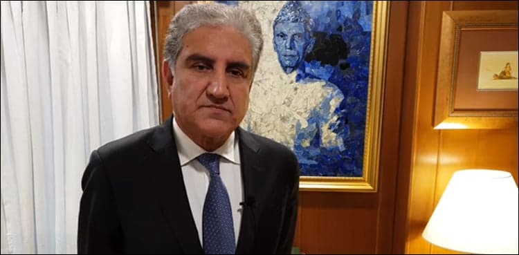 FM Qureshi apprises UN of India's warmongering threats against Pakistan