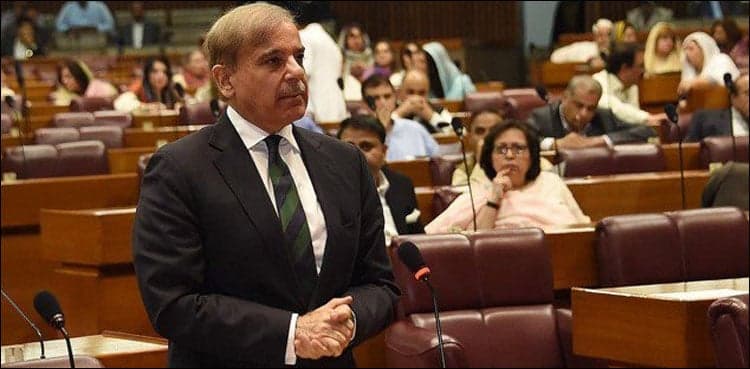 India will have to give Kashmiris right to self-determination: Shehbaz