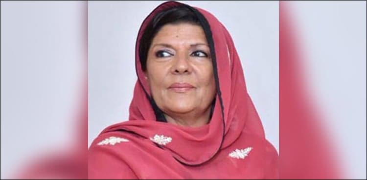 Offshore property case: Aleema Khan denies she amassed assets ‘illegally’