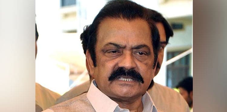 ANF seeks criminal record of Rana Sanaullah