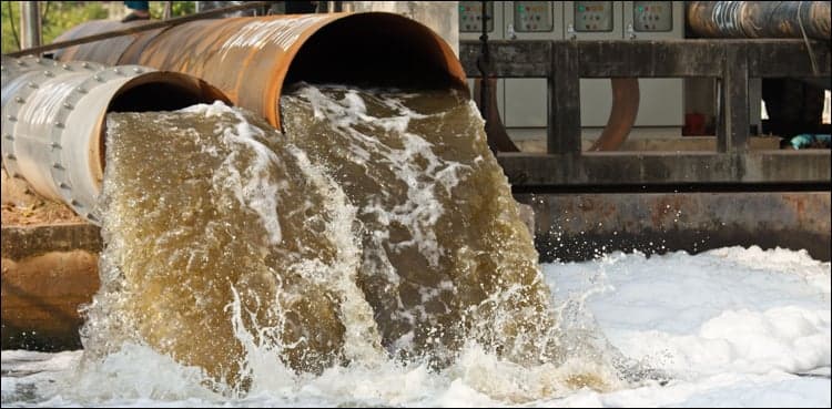 Sheikhupura industrial waste cause mass death of fishes in canal