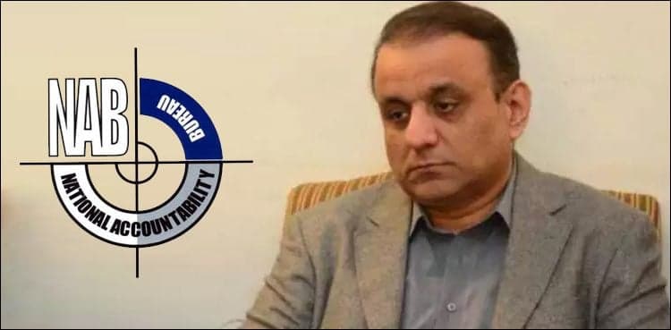 ‘Aleem Khan not arrested due to indignation of NAB chairman’