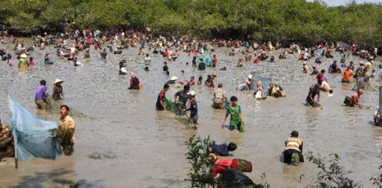 Illegal fishing continues in Indus despite Punjab ban