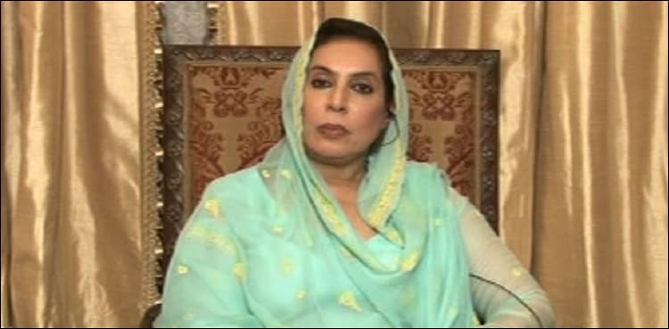 Fehmida Mirza asks PPP leadership to refrain from using ‘Sindh Card’