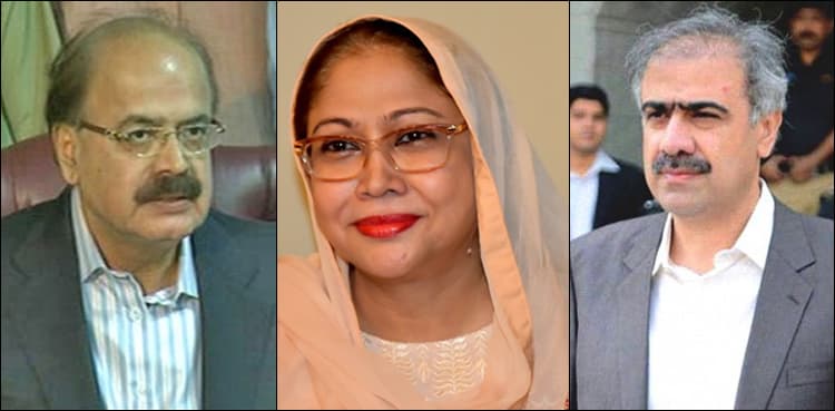 Iqama Case: SC ruling on Sharif's disqualification applies on Talpur, says petitioner