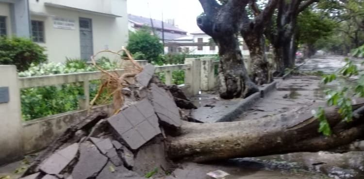 Zimbabwe death toll rises to 64 after Cyclone Idai pounds country