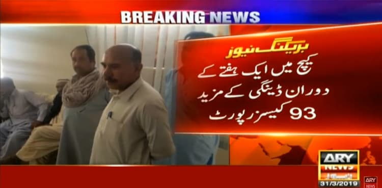 Dengue outbreak: 93 new cases reported in Balochistan's Kech