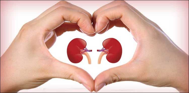 Pakistan ranks eighth globally in kidney diseases