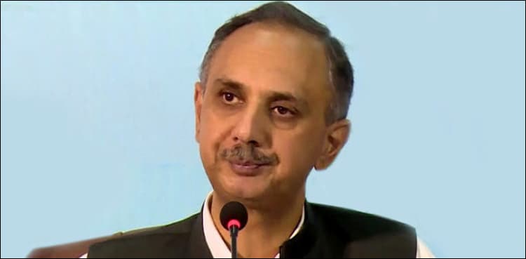 8000MW of renewable energy to be generated by 2025: Omer Ayub