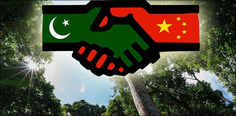 Pakistan, China join hands to work in forestry area