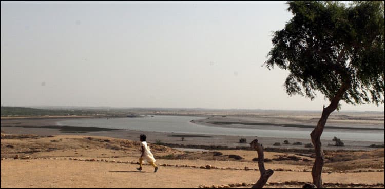 World Rivers Day: Indus Delta at the mercy of advancing Arabian Sea