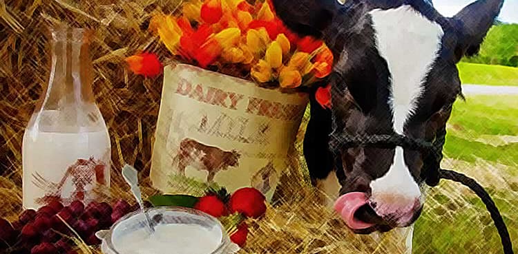 Trump asks China to lift tariffs on US farm products