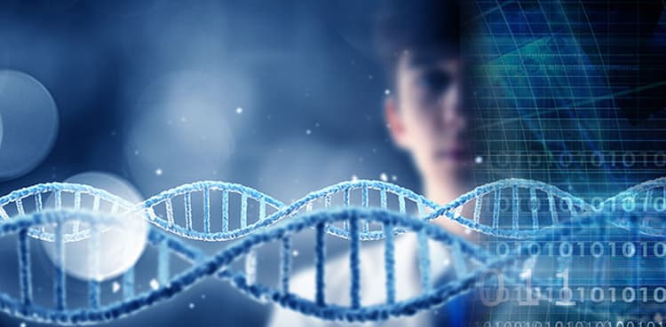 Our genes affect where fat is stored in our bodies
