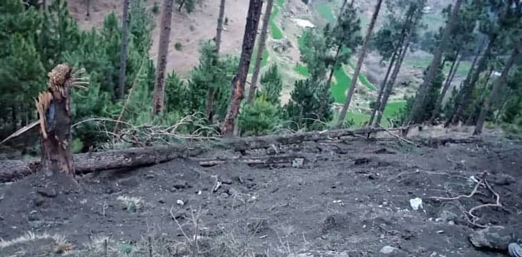 Case registered against Indian pilots for destroying trees in Balakot