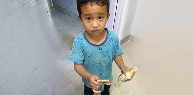 Little boy tries to save chicken's life; picture goes viral