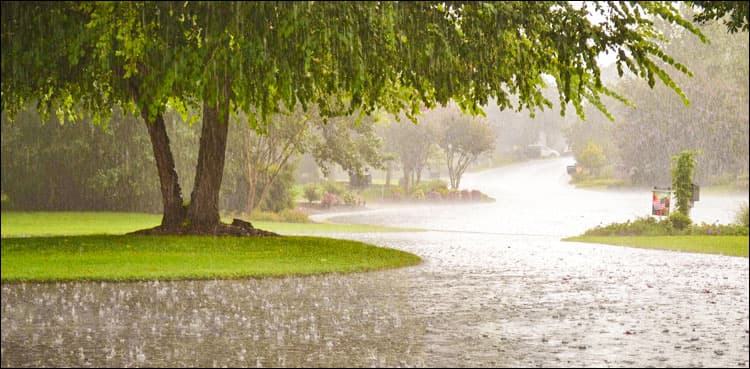 Punjab receives widespread rainfall with dust-storm