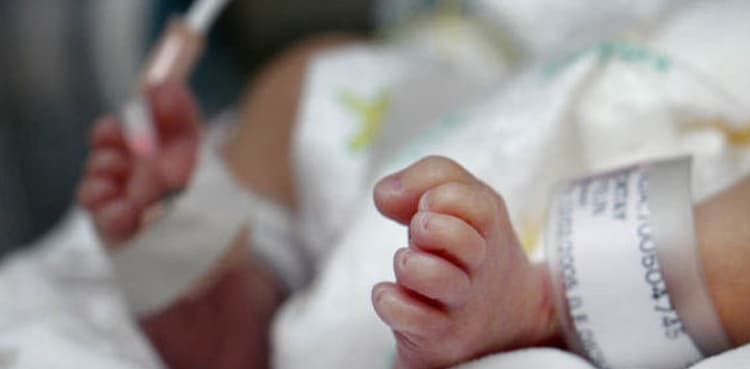 Fifth Guatemalan child dies in US immigration custody