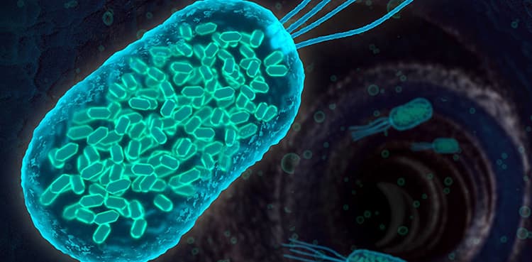 Scientists develop device to detect bacteria in minutes, not days