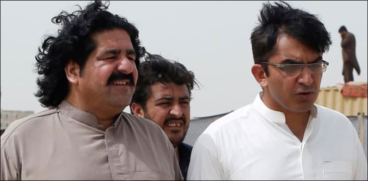 Mohsin Dawar, Ali Wazir behind military check post attack, NA panel told