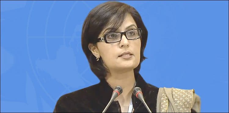 Govt to eliminate viral hepatitis through public-private partnership: Dr Sania