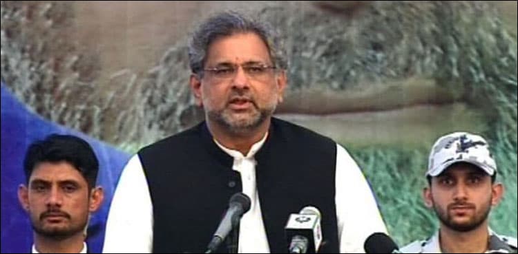 PML-N wants parliamentary body to probe accusations against NAB chief