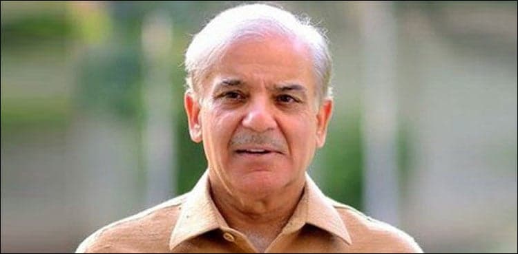 Waste management probe: Shehbaz's representative appears before NAB
