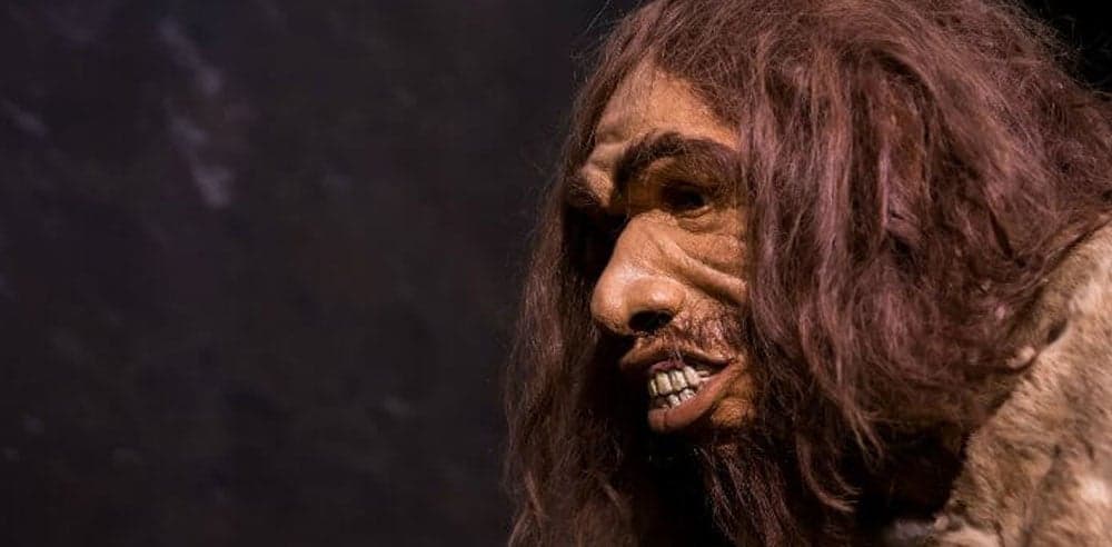 Human cousin explains mountain gene mutation