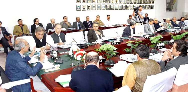 ECC decides to adjust loans through subsidy to industrial sector