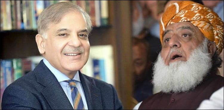 Shehbaz, Fazl discuss APC, political situation