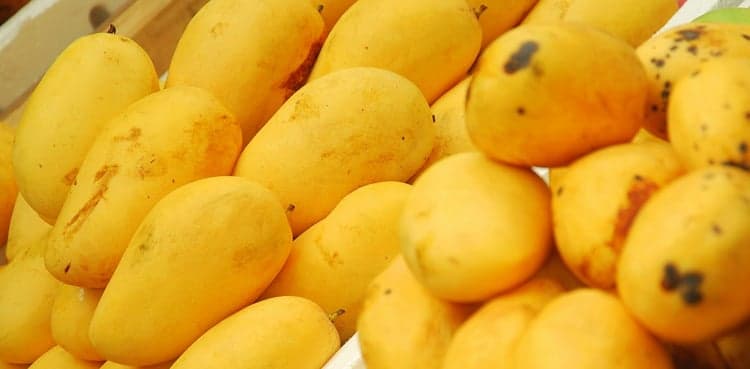 Trade Diplomacy: Pakistan to send mango gifts to 17 head of states