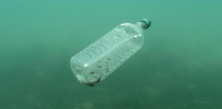 Single-use plastics banned in hotels and restaurants