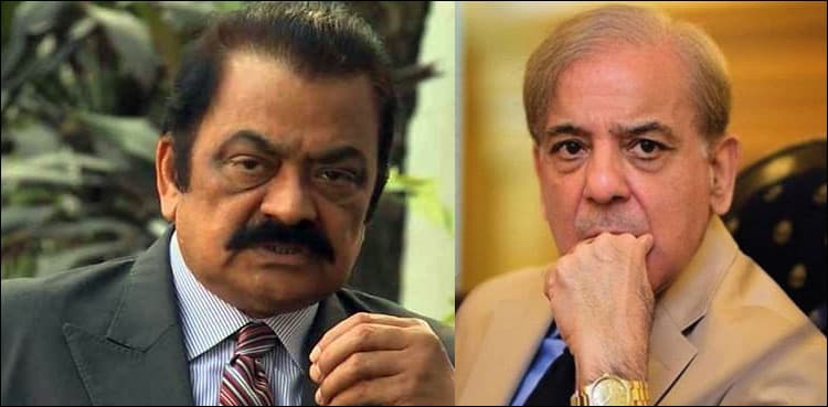 Sanaullah's family not allowed to meet him in jail, laments Shehbaz