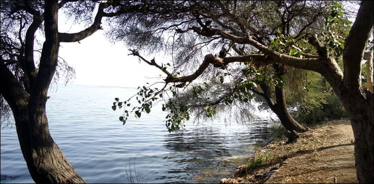 Sindh Govt has decided to revive Haleji Lake: Murtaza Wahab