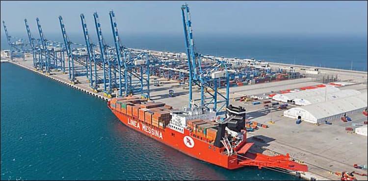 PQA revenue increases by 29pc in 2020-21: Ali Zaidi