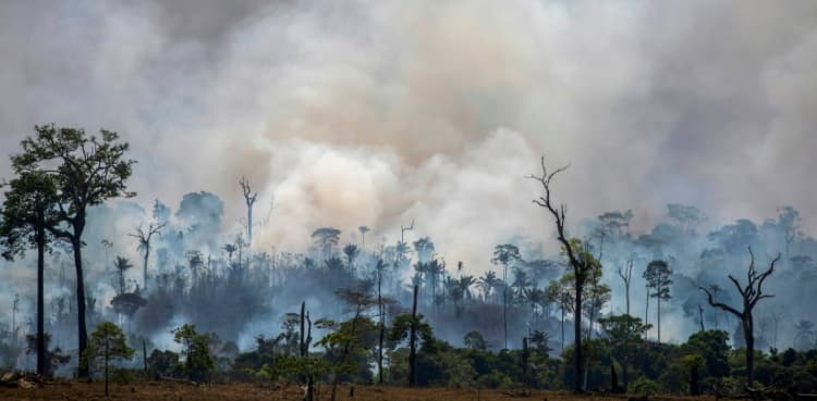 Brazil's burning ban takes effect as Amazon fires rage