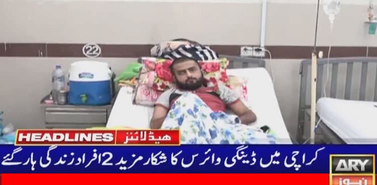 Dengue fever claims two more lives in Karachi