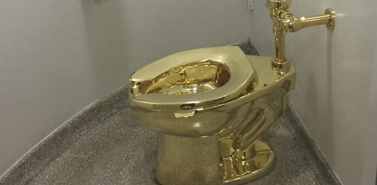 18-carat gold toilet stolen