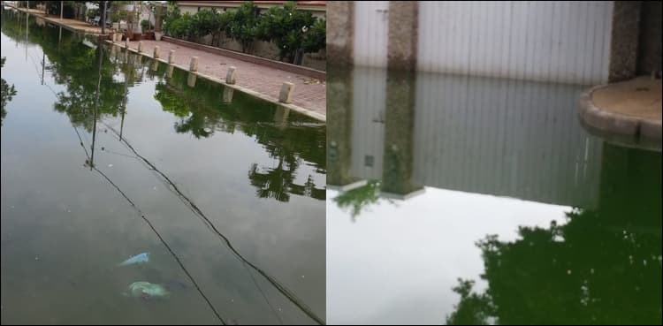 Petition filed in SHC against untreated disposal of industrial wastewater in Ghotki