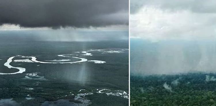Did it rain in Amazon rain forest after fires?
