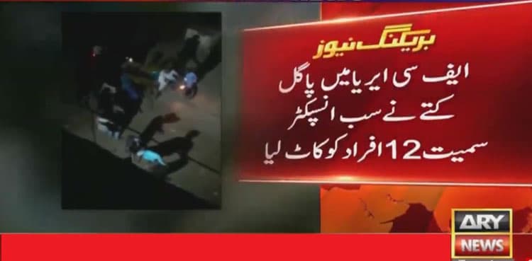 Sub-inspector among 12 bitten by rabid dog in Karachi